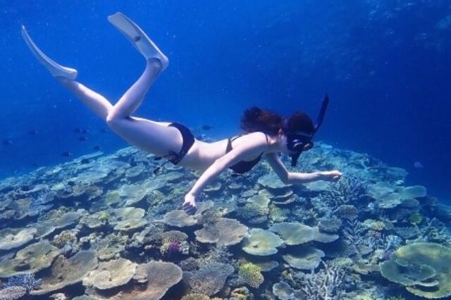 ホノルルの透き通った青い海で、美しいサンゴ礁の上をシュノーケリングする女性