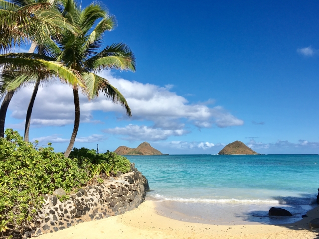 ラニカイビーチ　南国の海　ハワイ　ビーチ