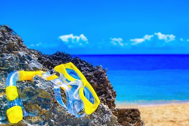 シュノーケリング　シュノーケル　海