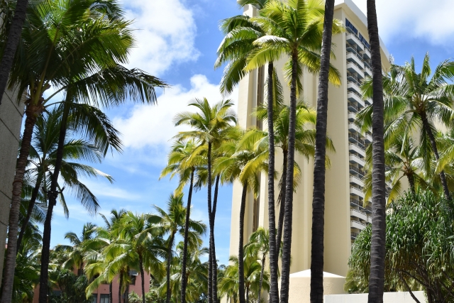 ホノルルのホテル ビーチ沿いのホテル 高級ホテル