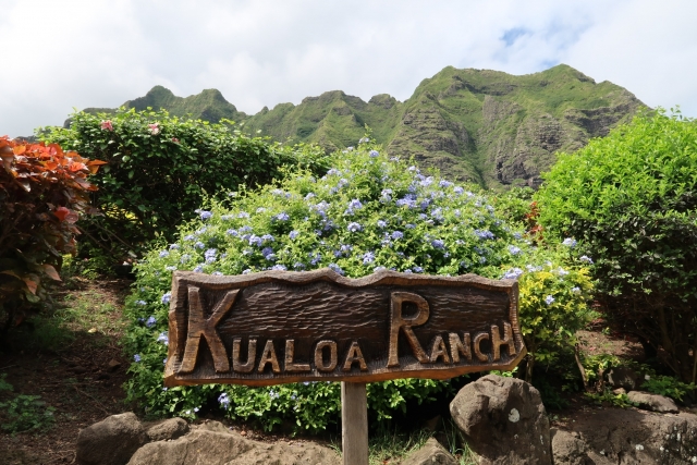 クアロアランチ　ハワイのクアロアランチ　看板　ロケ地