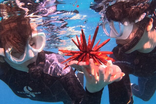 シュノーケリング