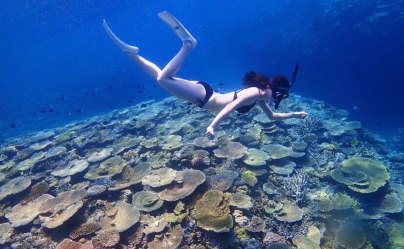 ホノルルの透き通った青い海で、美しいサンゴ礁の上をシュノーケリングする女性