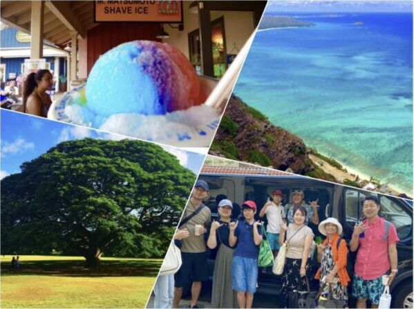 オアフ島東海岸&ノースショア観光(海がめウォッチング付き)