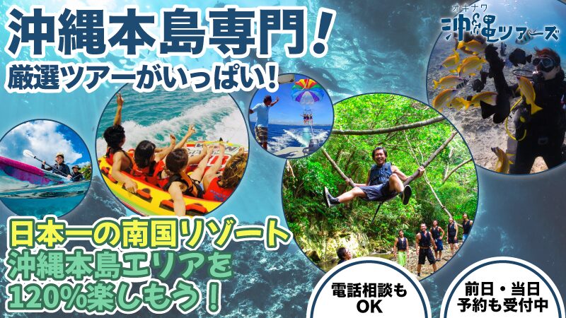 沖縄ツアーズKV