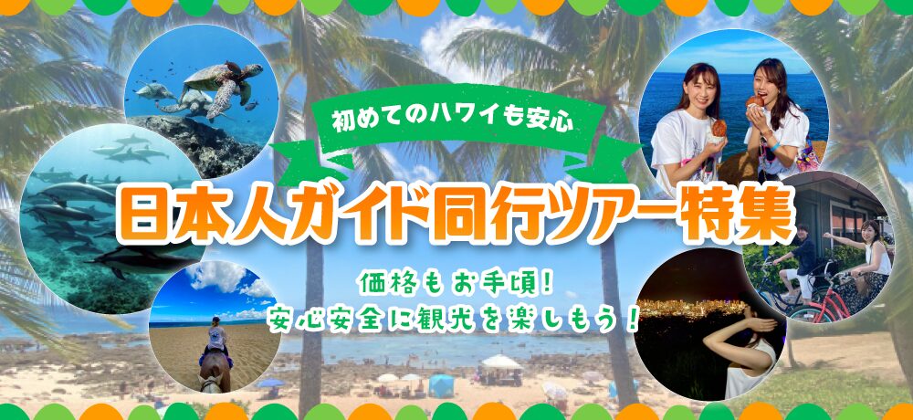 ハワイガイドツアーKV_pc